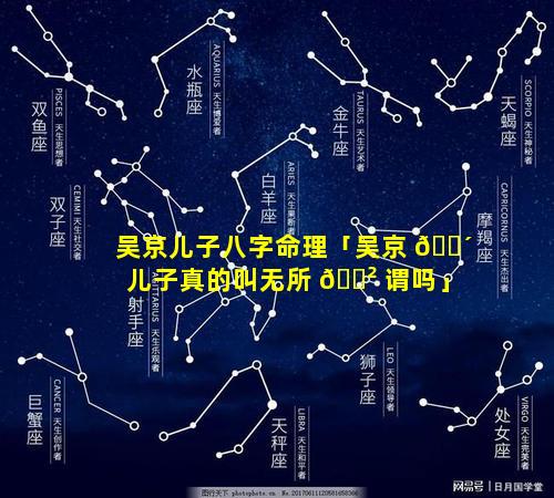 吴京儿子八字命理「吴京 🌴 儿子真的叫无所 🌲 谓吗」